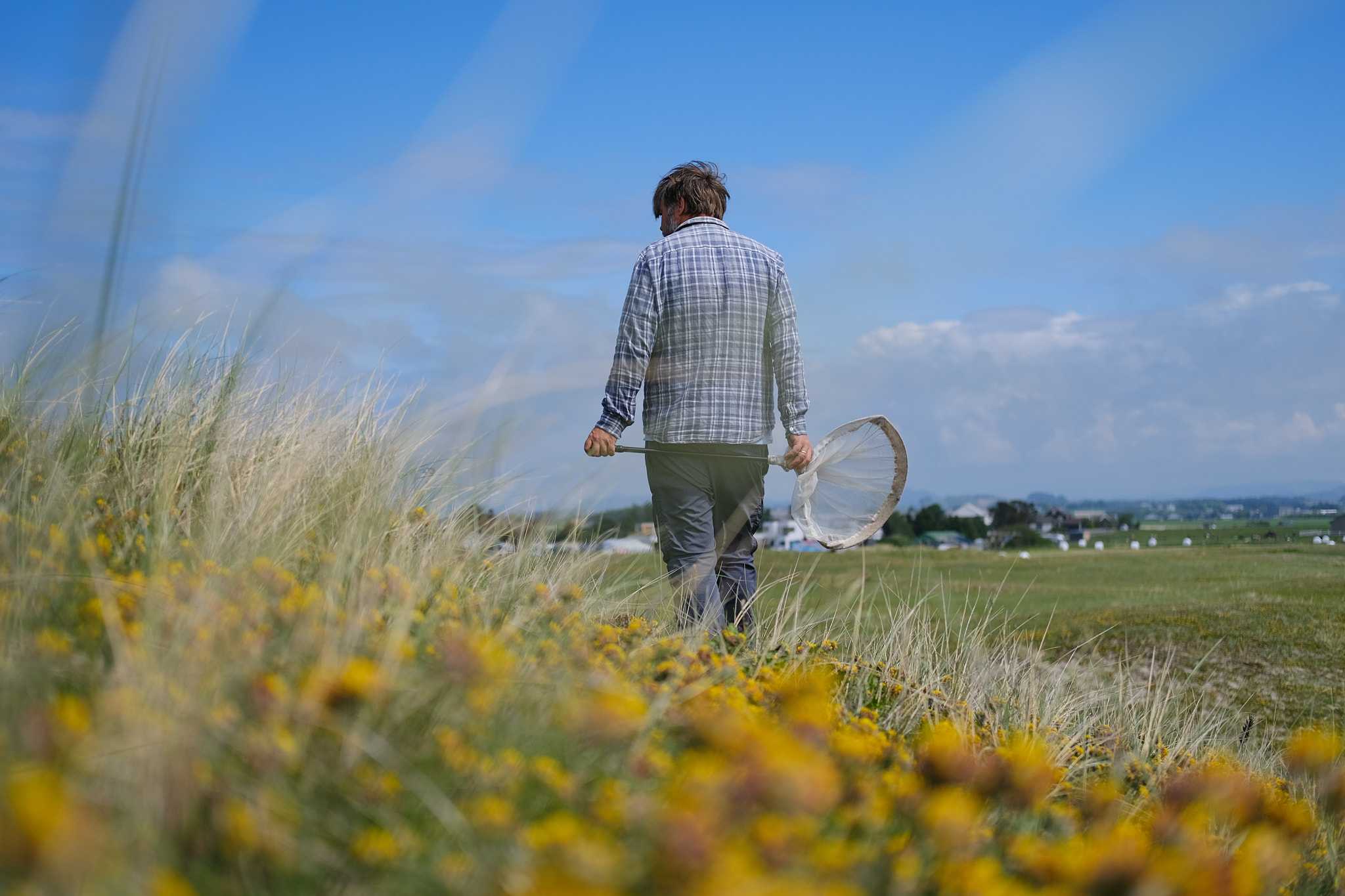 Kjell Mjølsnes og strandmurerbien