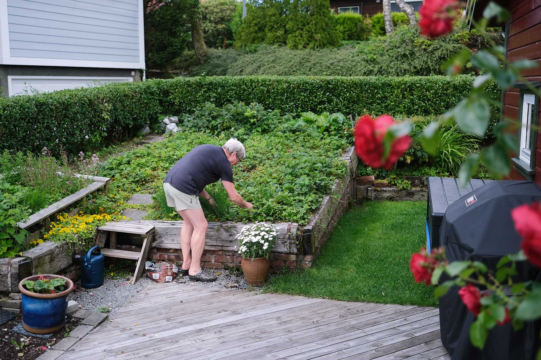 Liv Davidsen bruker mye av tiden sin i hagen mens hun venter på å bli helt
frisk.