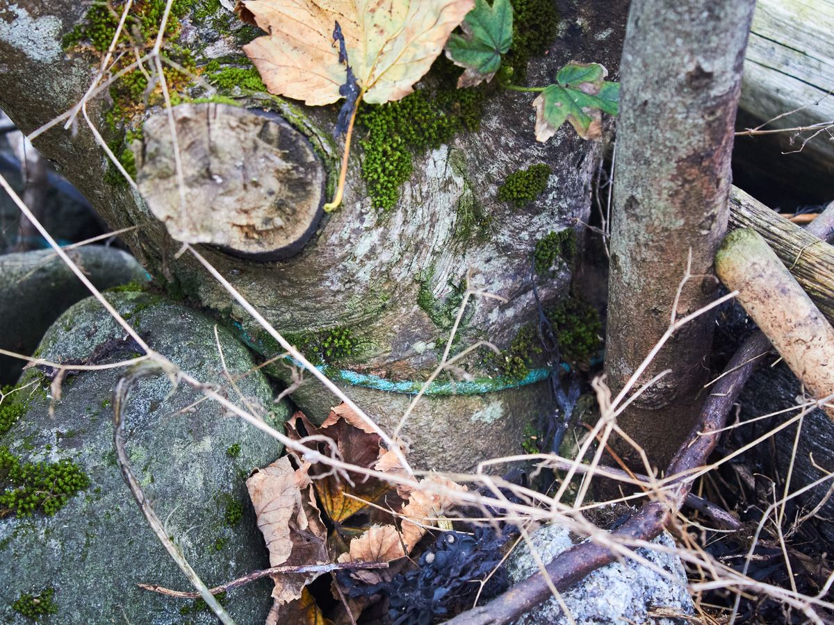 den evige dugnaden 4